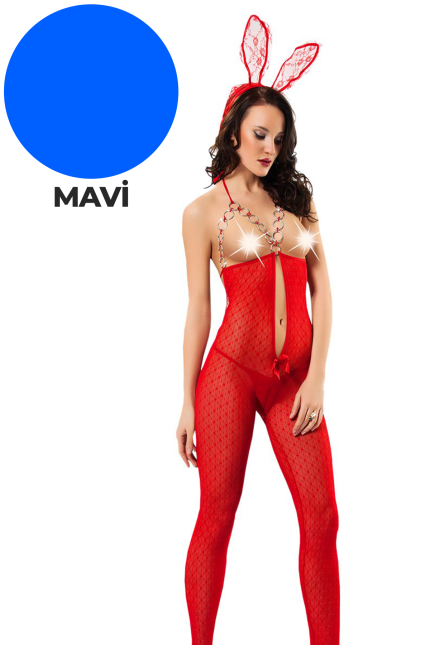 Lisinya946  Zincirli Dantel Vücut Çorabı